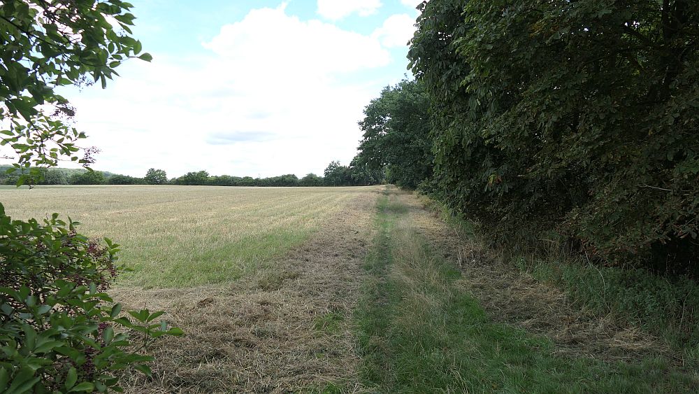 Ederhoehenweg