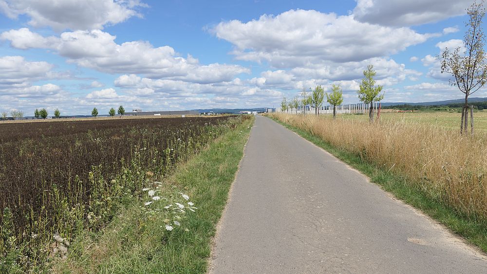 Ederhoehenweg