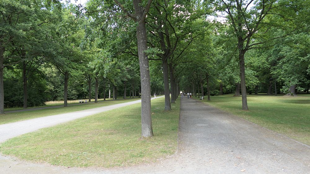 Ederhoehenweg