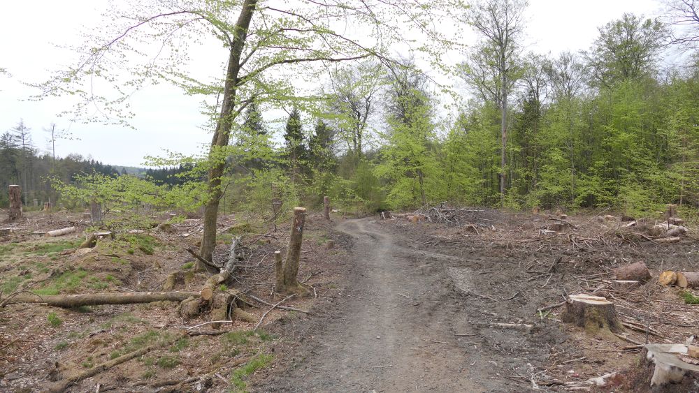 Ederhoehenweg