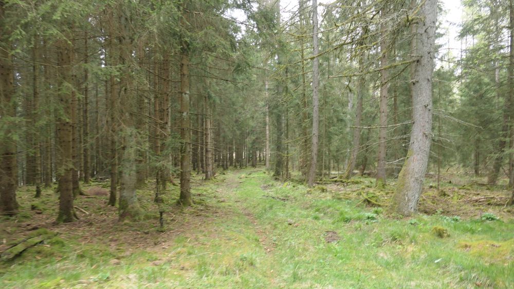 Ederhoehenweg