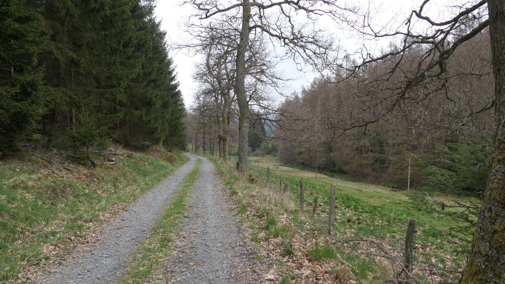 Ederhoehenweg