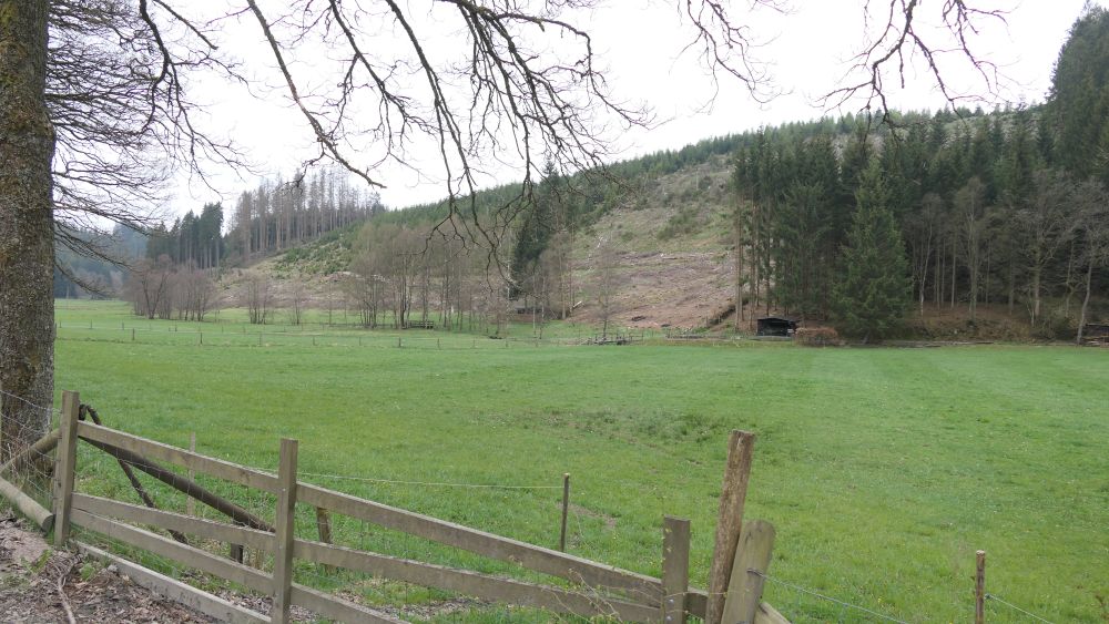 Ederhoehenweg