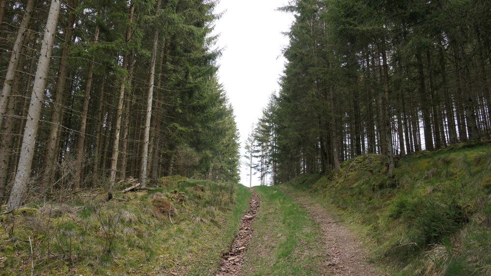 Ederhoehenweg