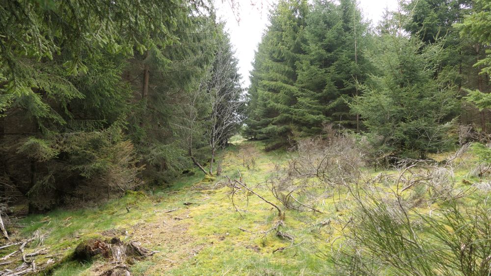 Ederhoehenweg