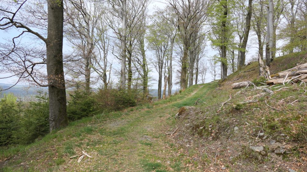 Ederhoehenweg
