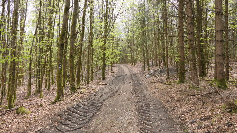 Ederhoehenweg