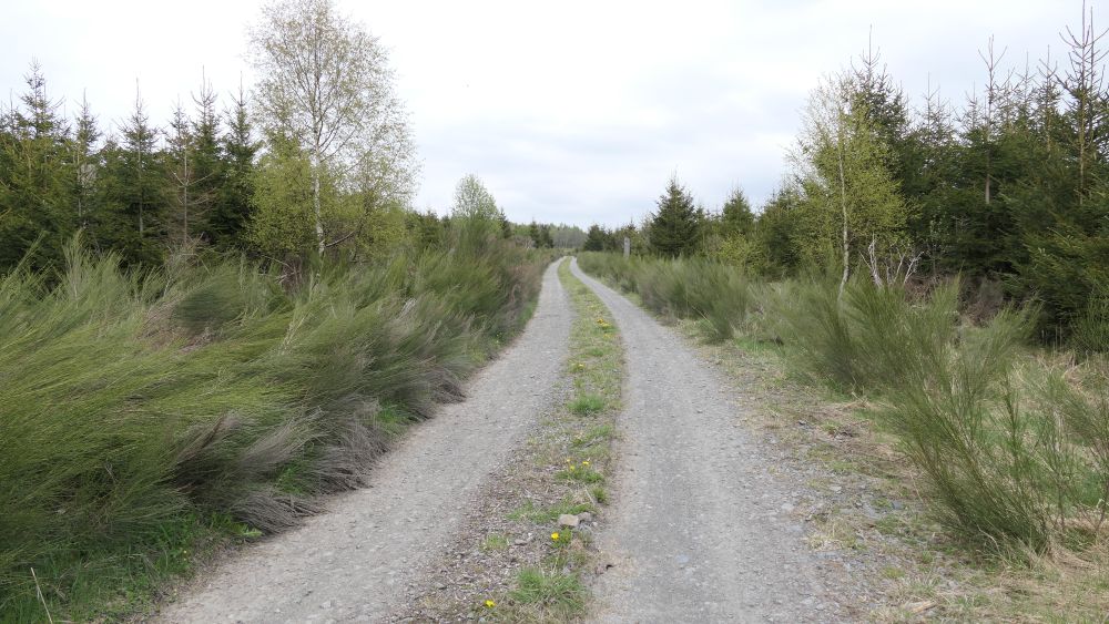Ederhoehenweg