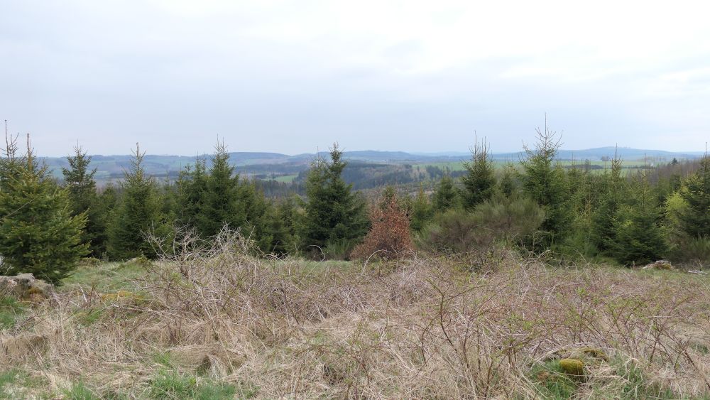 Ederhoehenweg