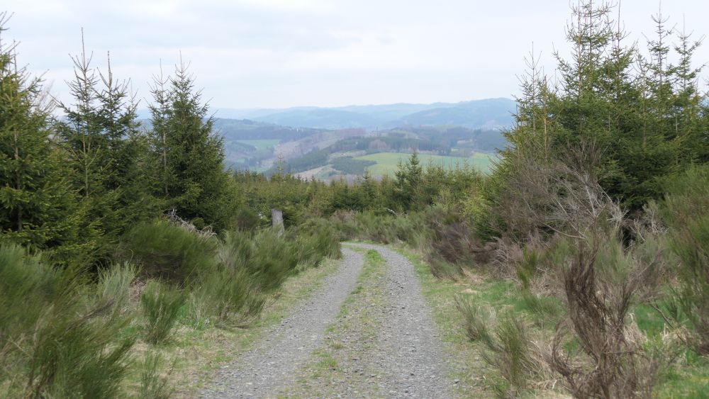 Ederhoehenweg
