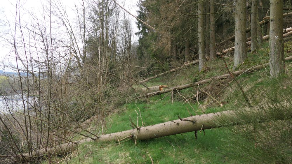 Ederhoehenweg