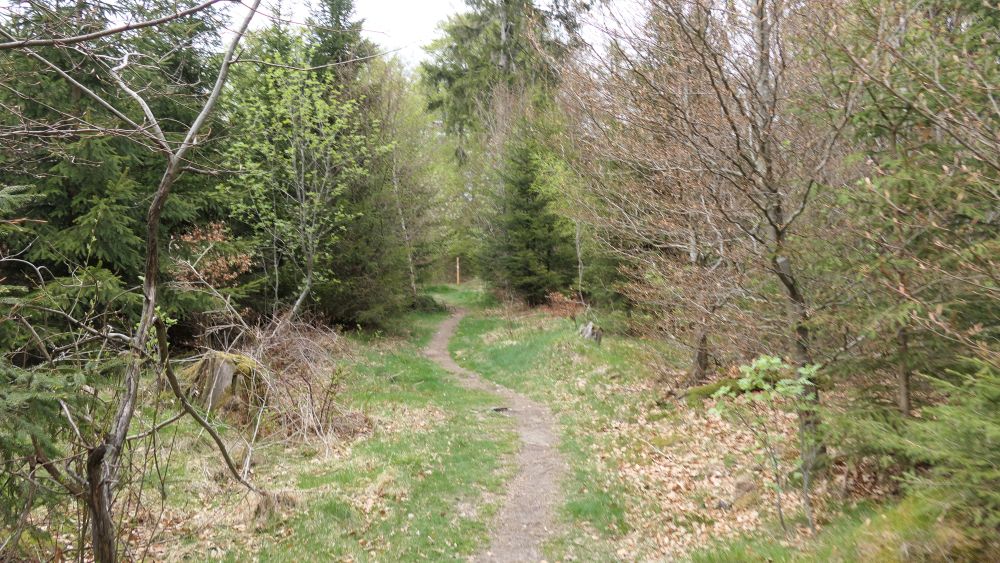 Ederhoehenweg