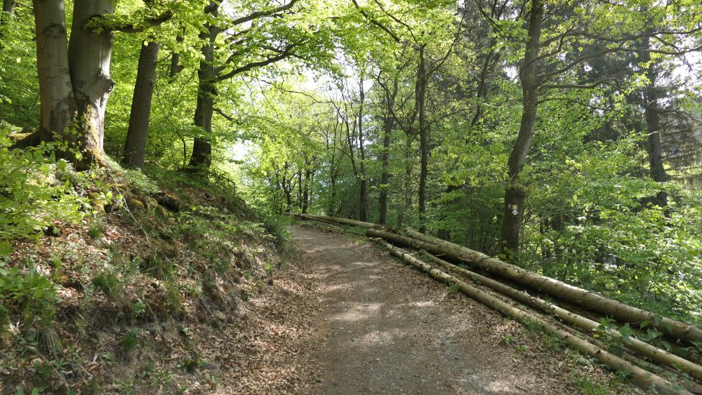 Ederhoehenweg