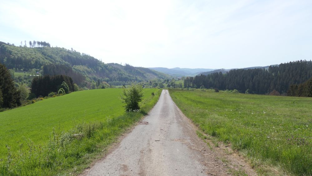 Ederhoehenweg
