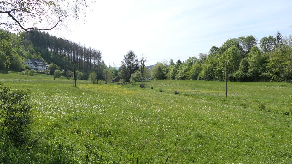Ederhoehenweg