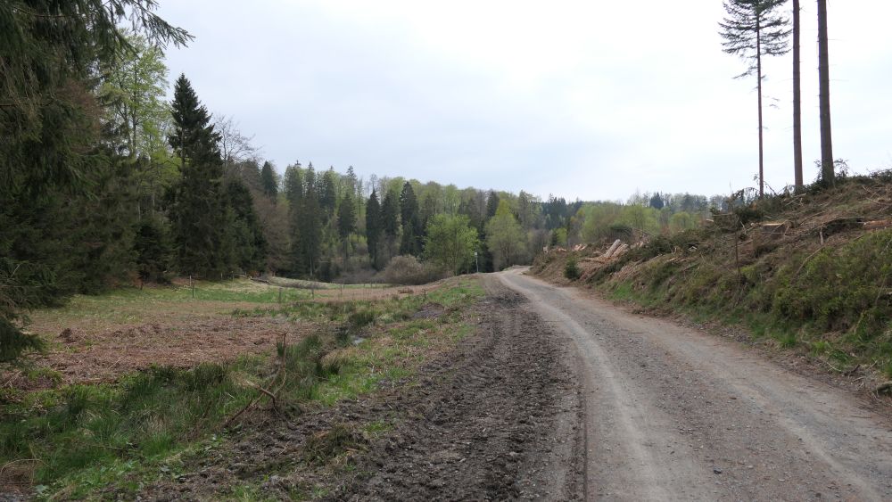 Ederhoehenweg