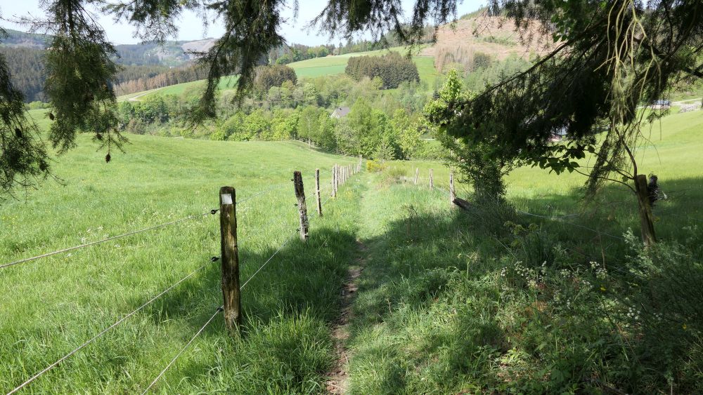 Ederhoehenweg