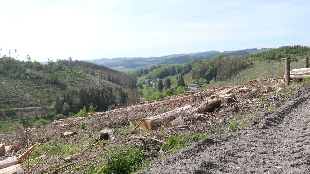 Ederhoehenweg