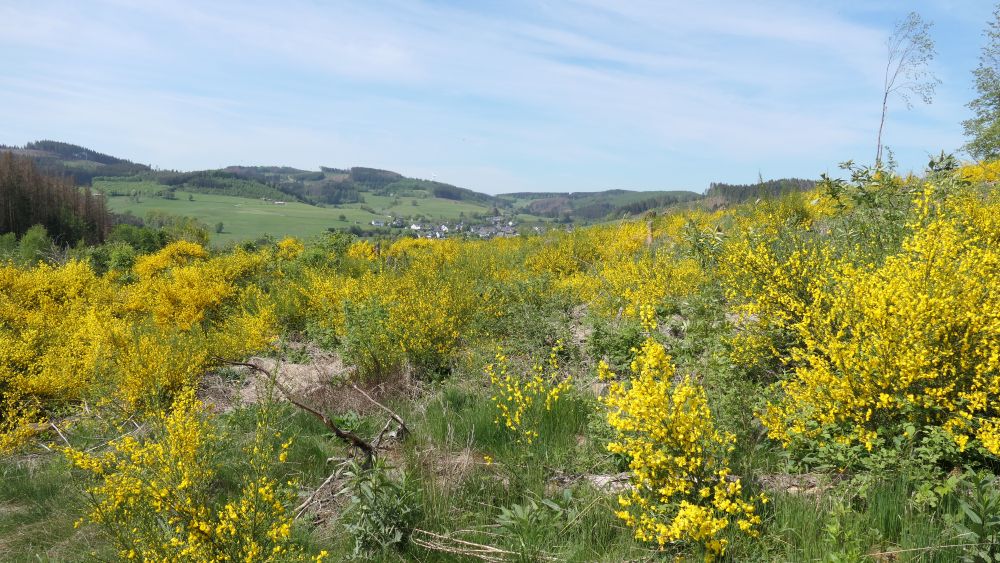 Ederhoehenweg