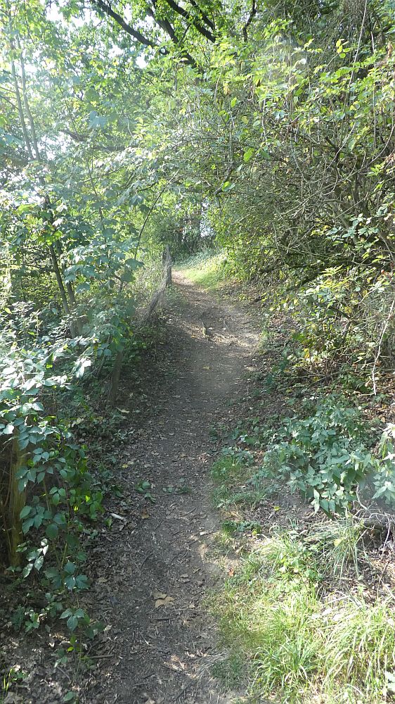 Eifelsteig