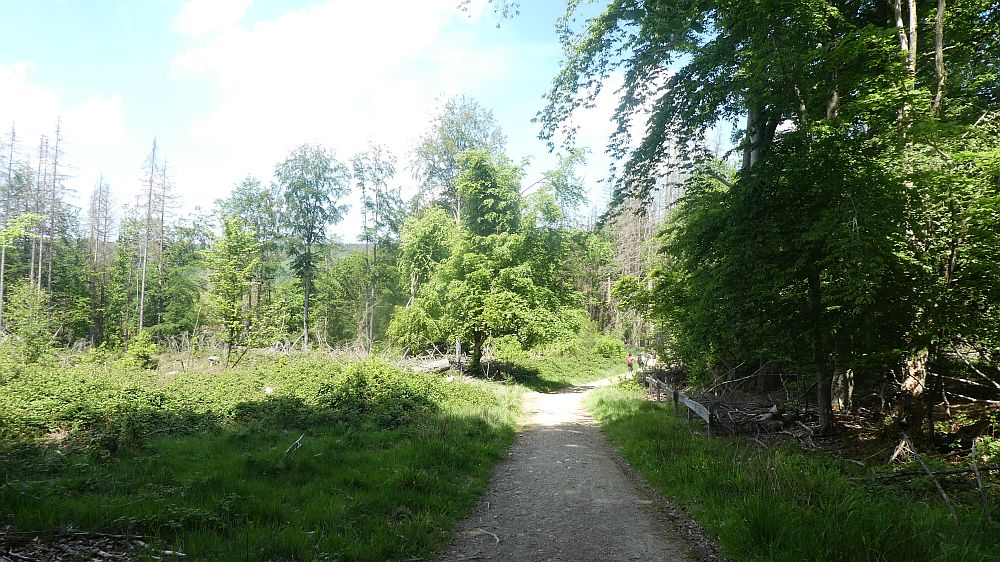 Eifelsteig