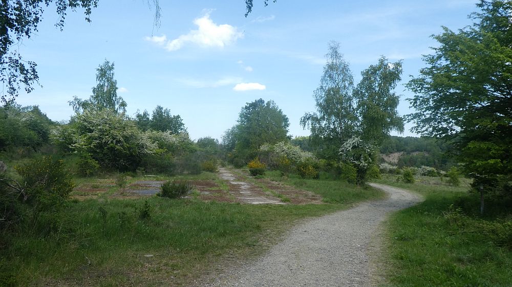 Eifelsteig
