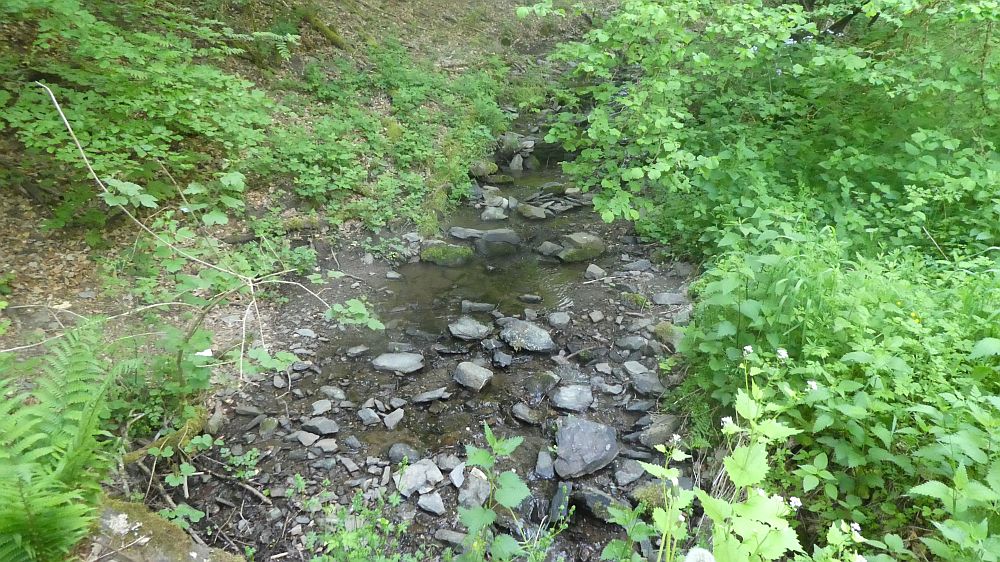 Eifelsteig