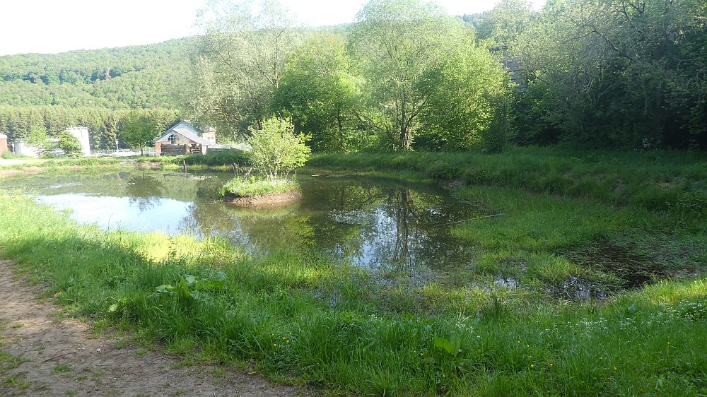 Eifelsteig