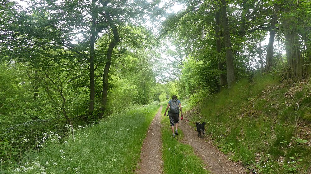 Eifelsteig