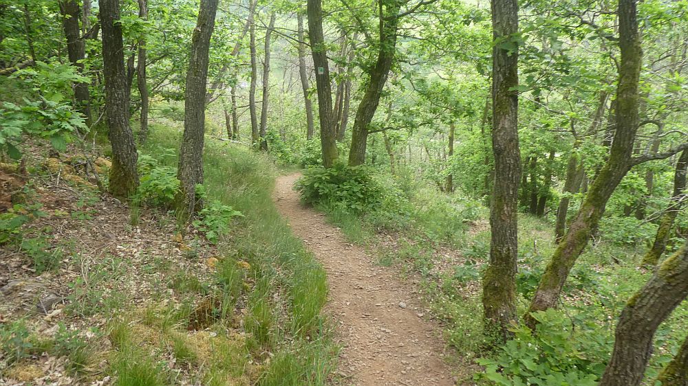 Eifelsteig