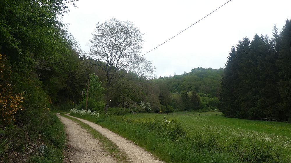 Eifelsteig