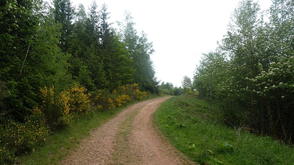 Eifelsteig