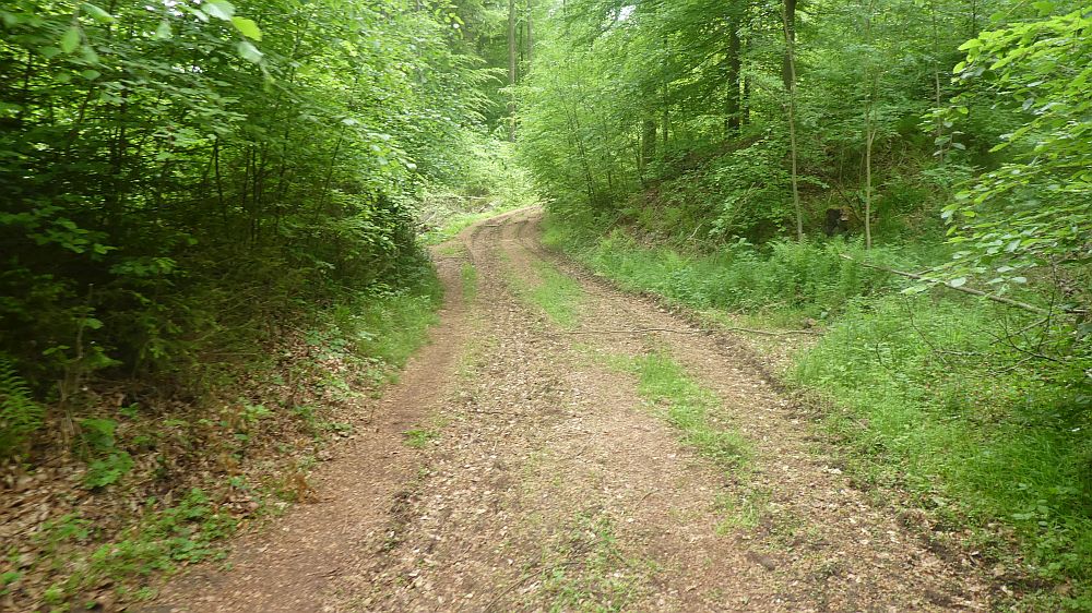 Eifelsteig