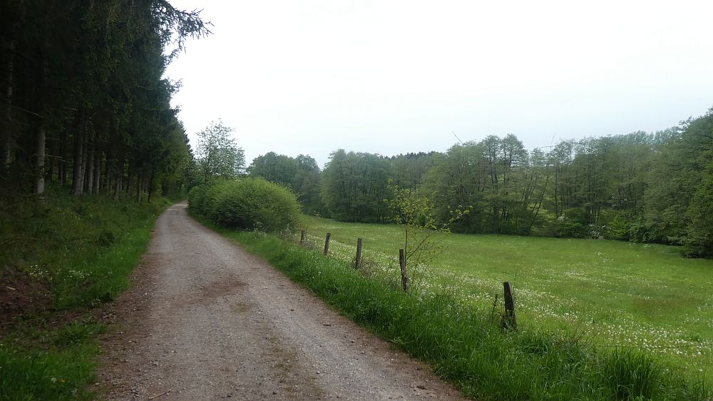 Eifelsteig