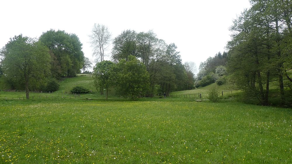 Eifelsteig