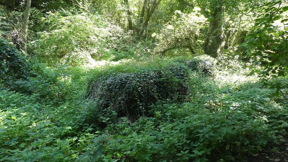 Eifelsteig