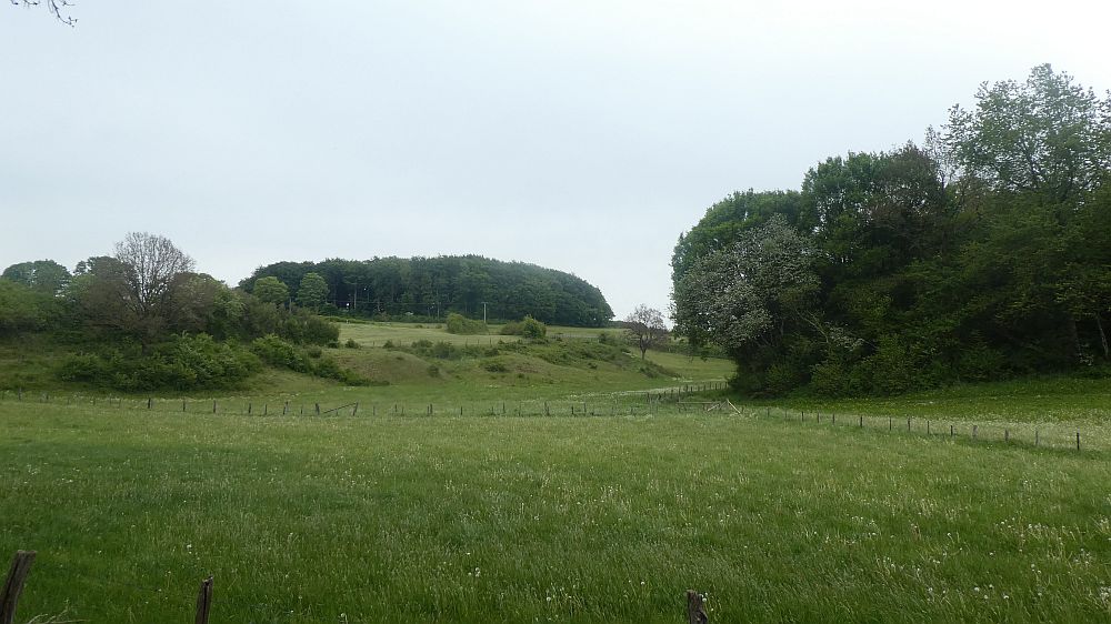 Eifelsteig
