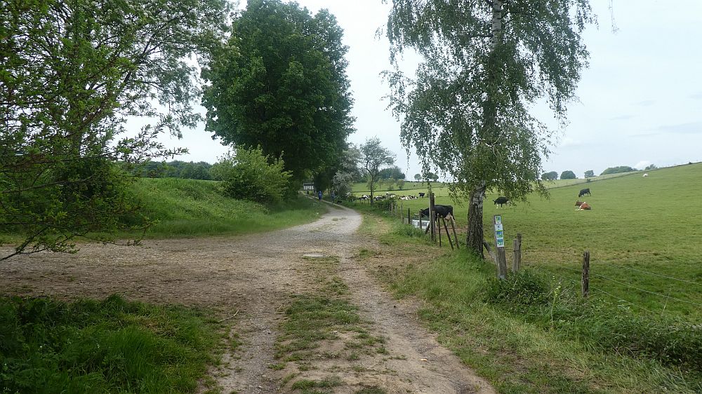 Eifelsteig
