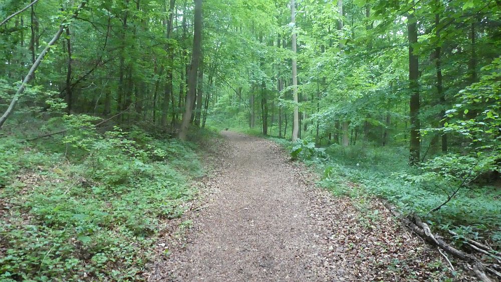 Eifelsteig
