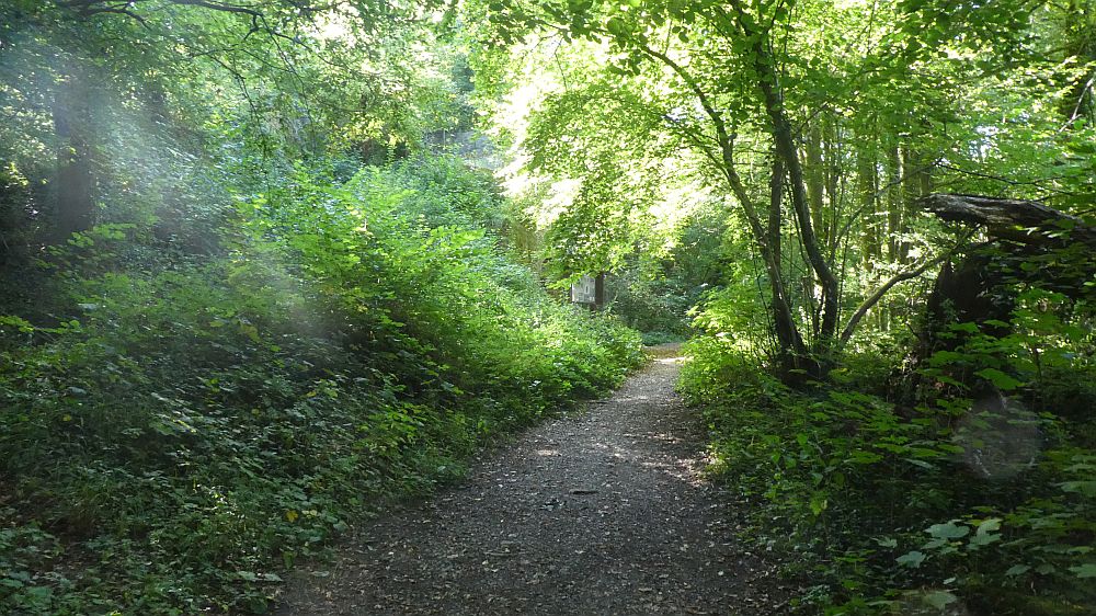 Eifelsteig