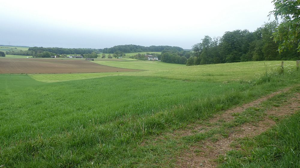 Eifelsteig