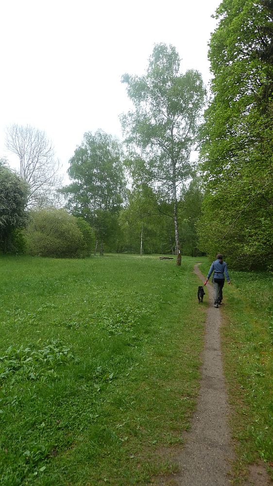 Eifelsteig