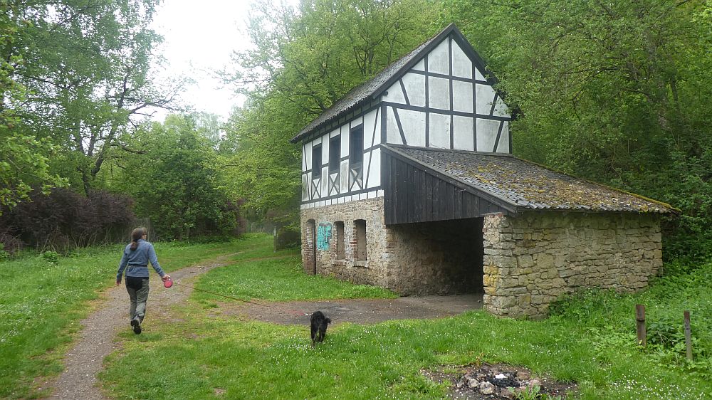 Eifelsteig