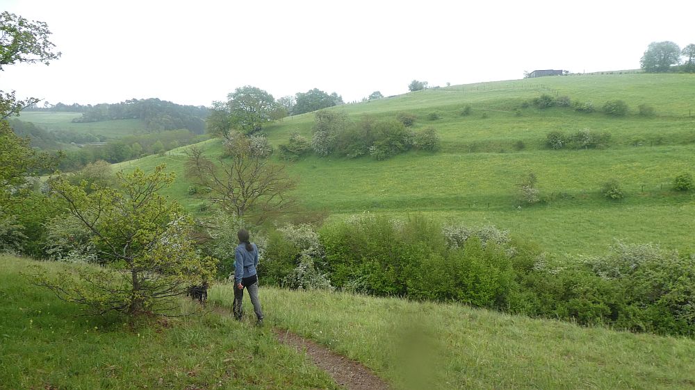 Eifelsteig