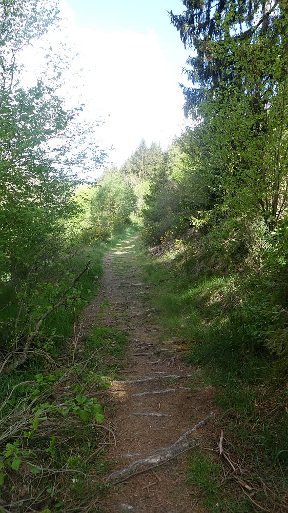 Eifelsteig