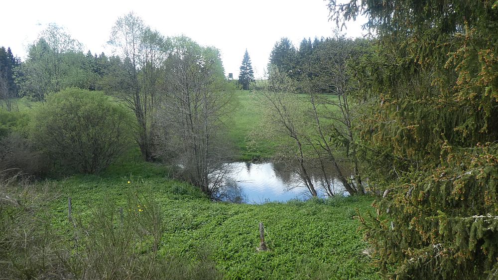 Eifelsteig
