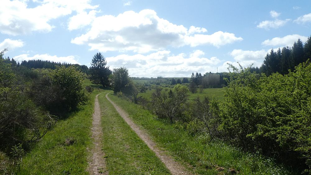 Eifelsteig