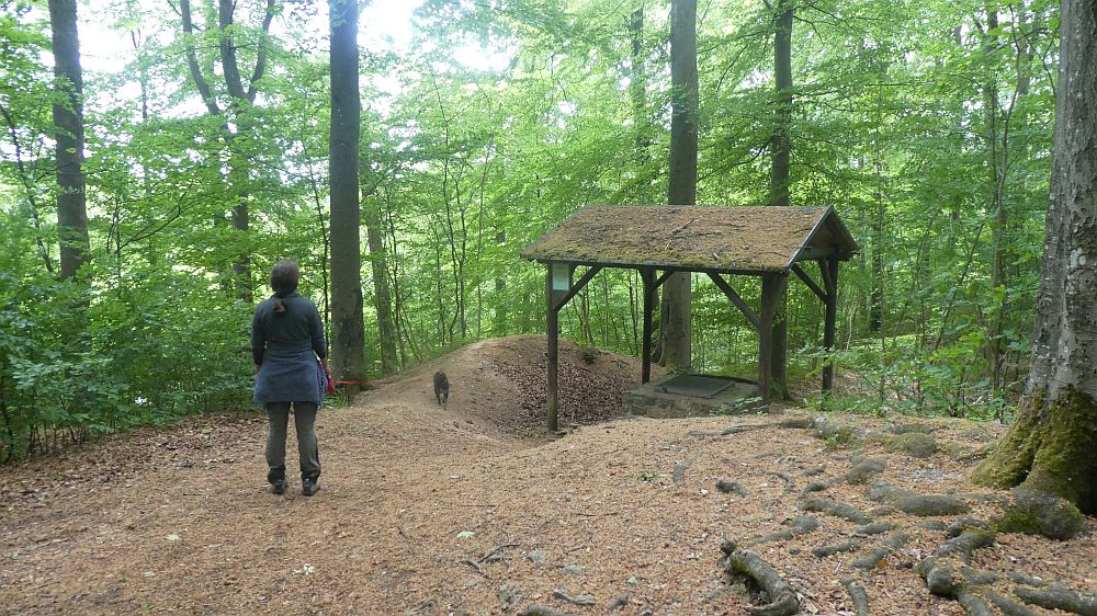 Eifelsteig