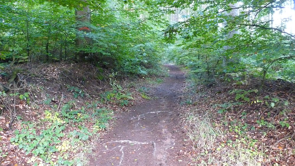 Eifelsteig
