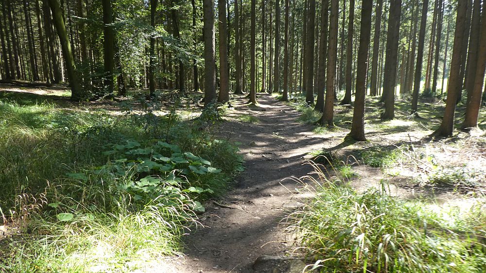 Eifelsteig
